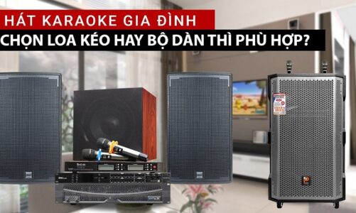 Nên mua loa kéo hay dàn karaoke cho gia đình cho những bữa tiệc tại gia?